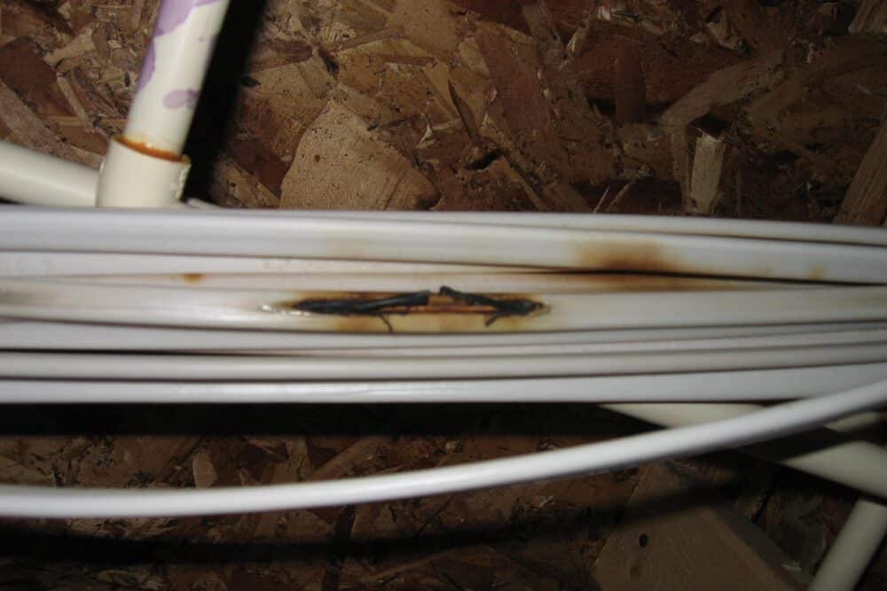 Electrical-wires-are-melting-fire-in-this-basement-is-only-question-of-time