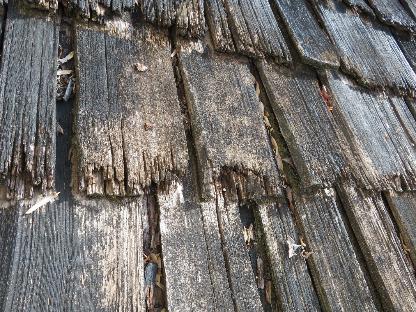 Very-expensive-wood-shingles-are-completely-worn-out