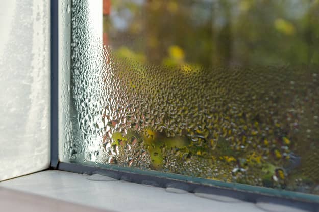 Film on the inside of a house window.