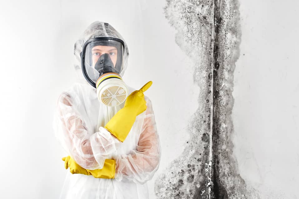 Mold remediation should be called in the moment you notice black mold in your home. 