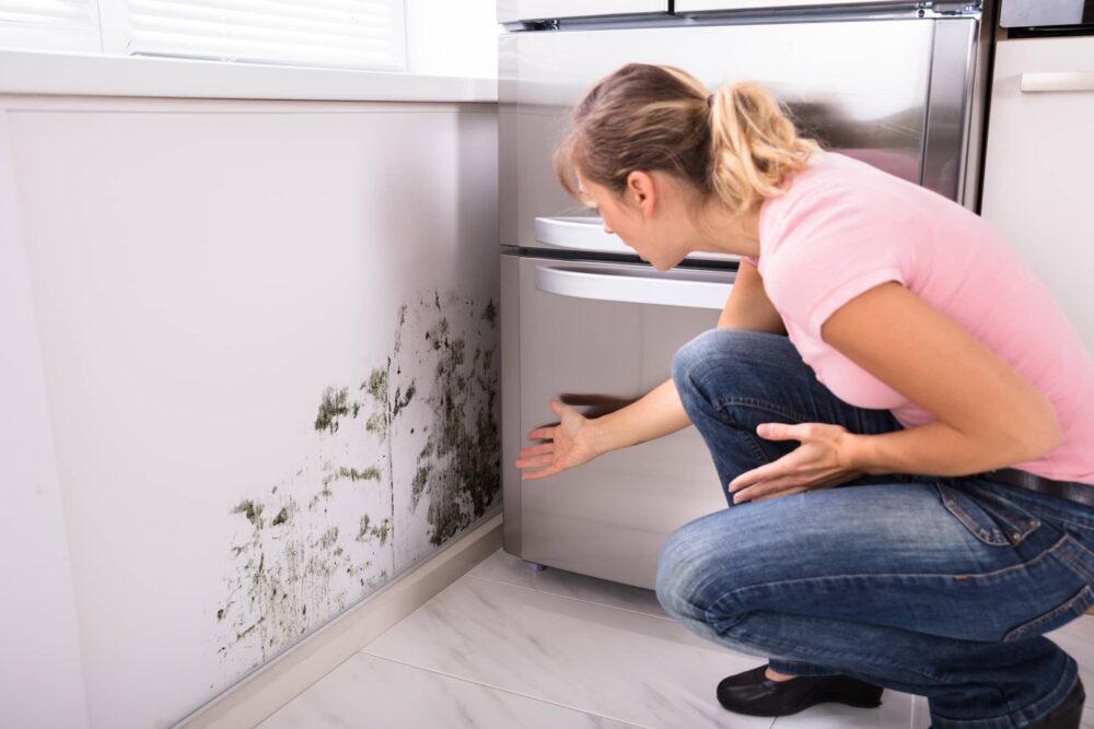 Mold in the home