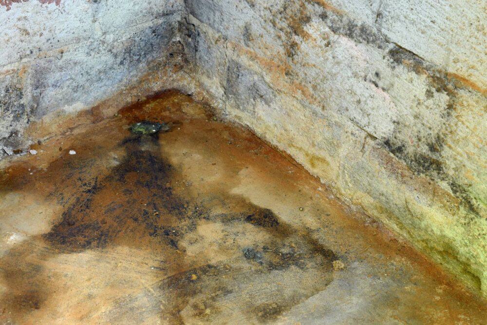 Water and mold in the basement create a musty smell but also can be harmful to breathe in. 