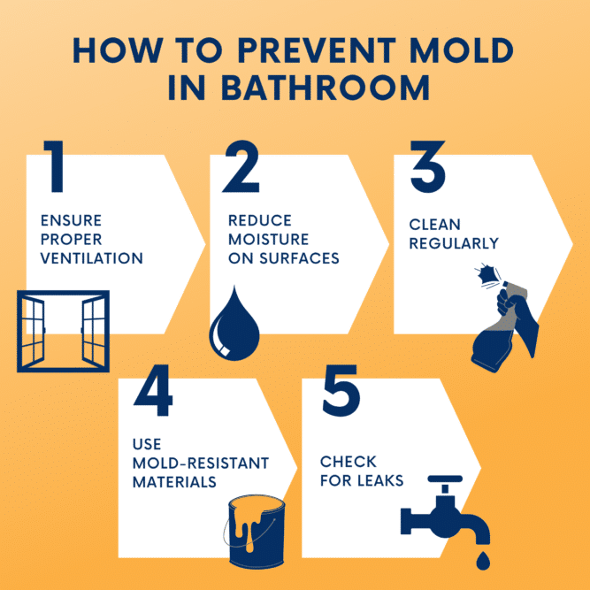 How To Prevent Mold in Bathroom