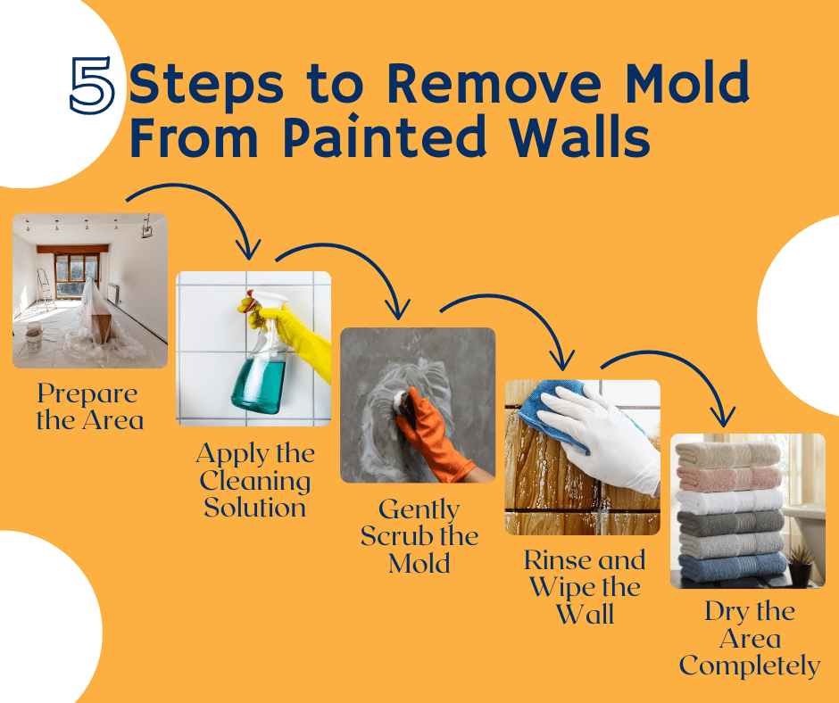 How To Remove Mold From Painted Walls Home Inspection Associates how-to-remove-mold-from-painted-walls-home-inspection-associates