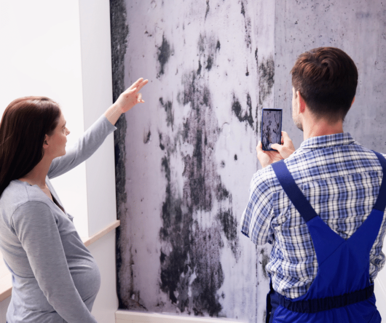 Mold Vs Mildew