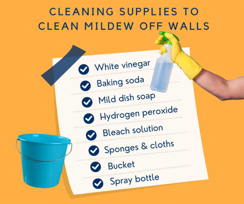 Cleaning Supplies for mold or mildew